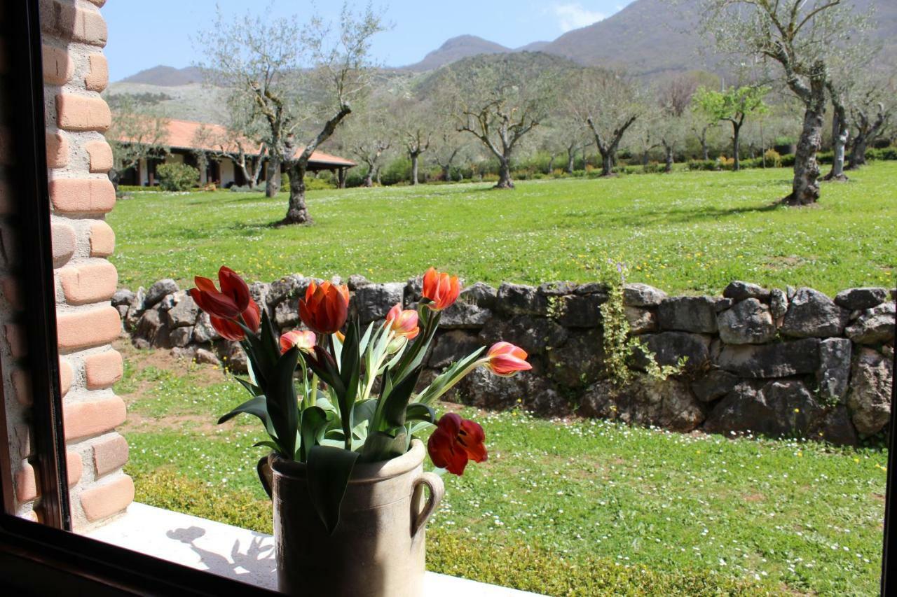 Agriturismo Il Castagneto Padula Exterior foto